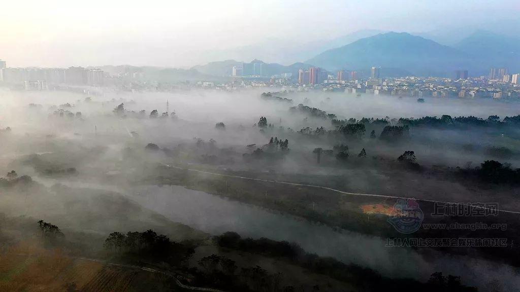 组装机械章鱼龙